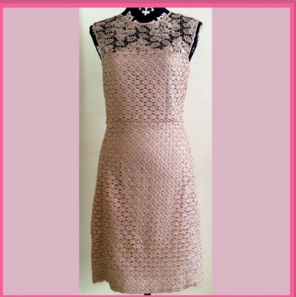 DVF blush dress - Picture 3 of 3